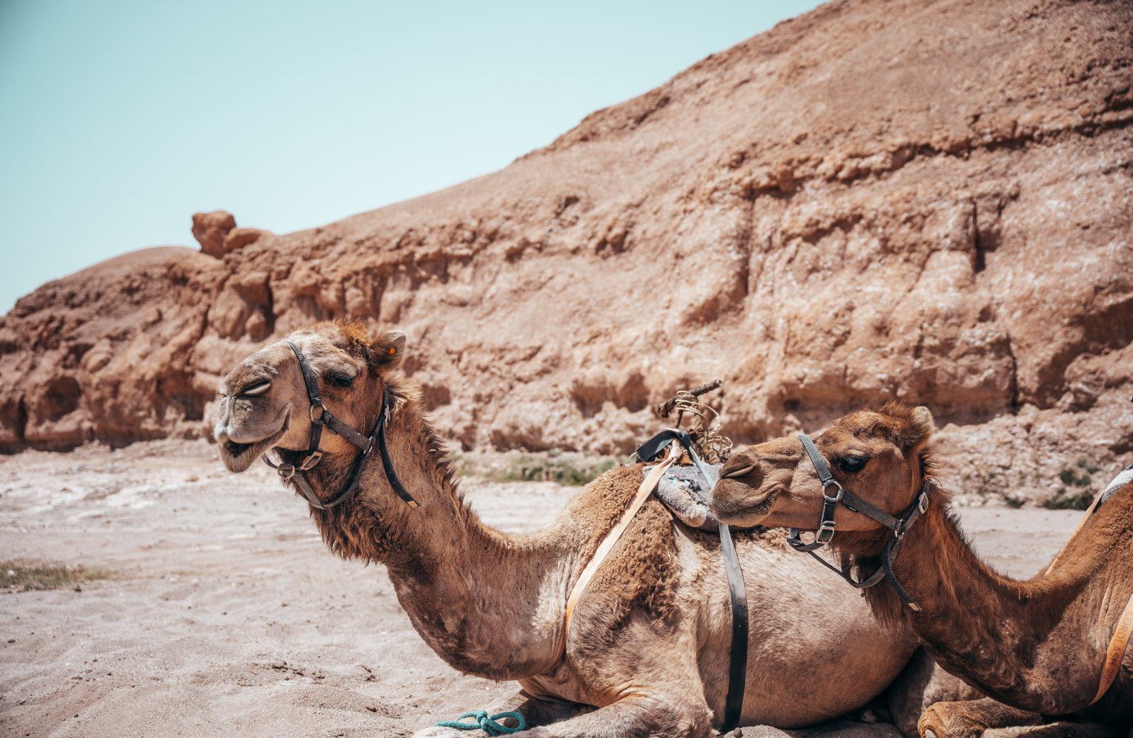 Deserto di Agafay
